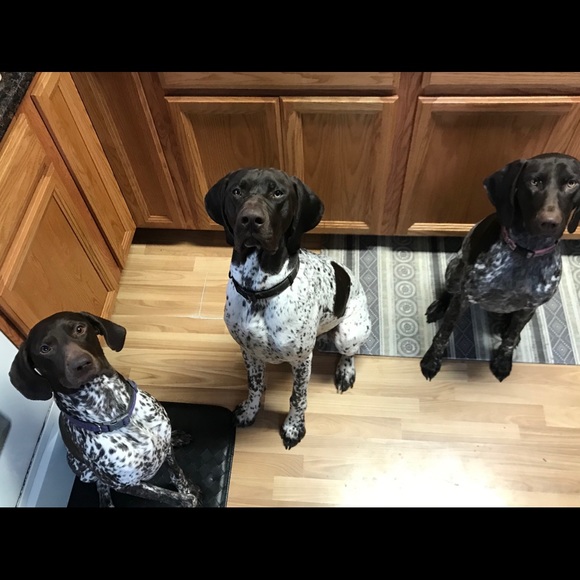 Meet your Posher, Valerie - Picture 6 of 8